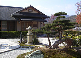 Garten japanisches Teehaus