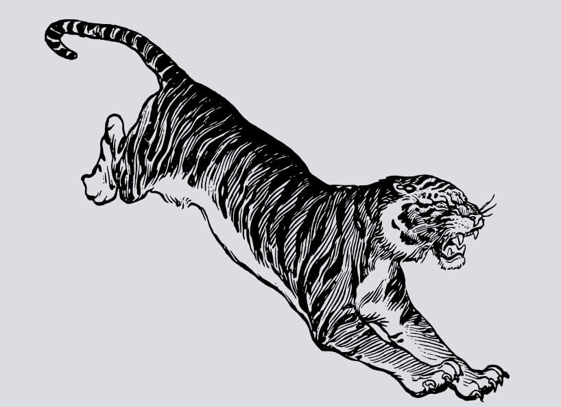 Irezumi Tattoo Motiv Tiger