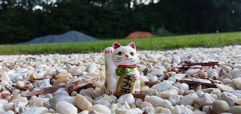 Maneki-neko winkende Katze weiß