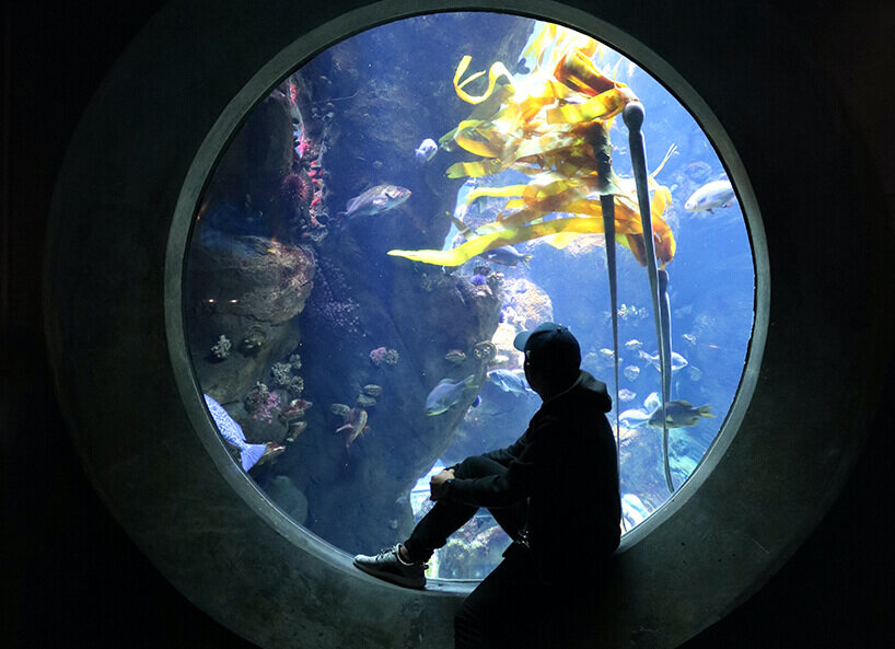 Mann sitzend vor Aquarium Fenster
