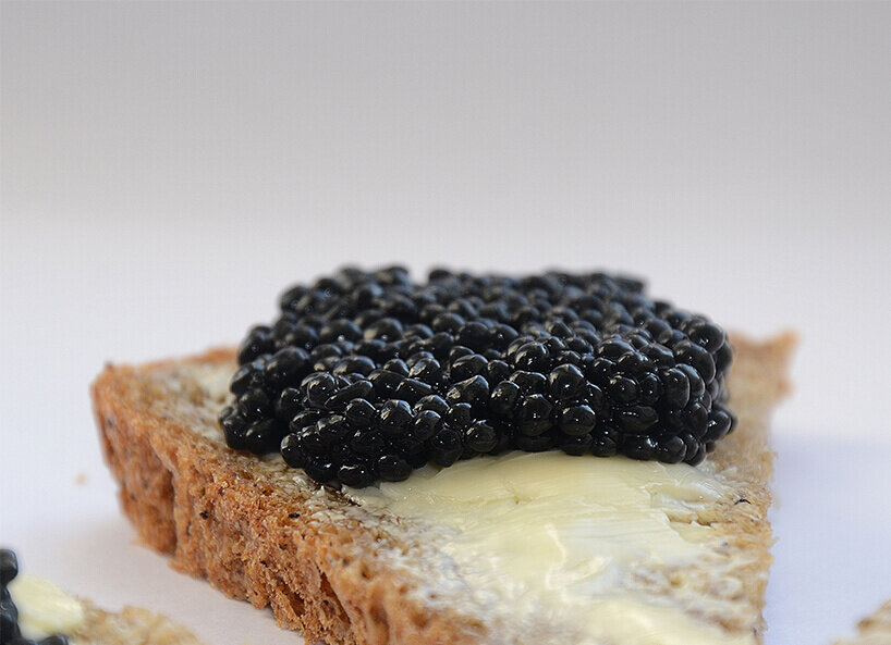 Schwarzer Kaviar auf Butterbrot