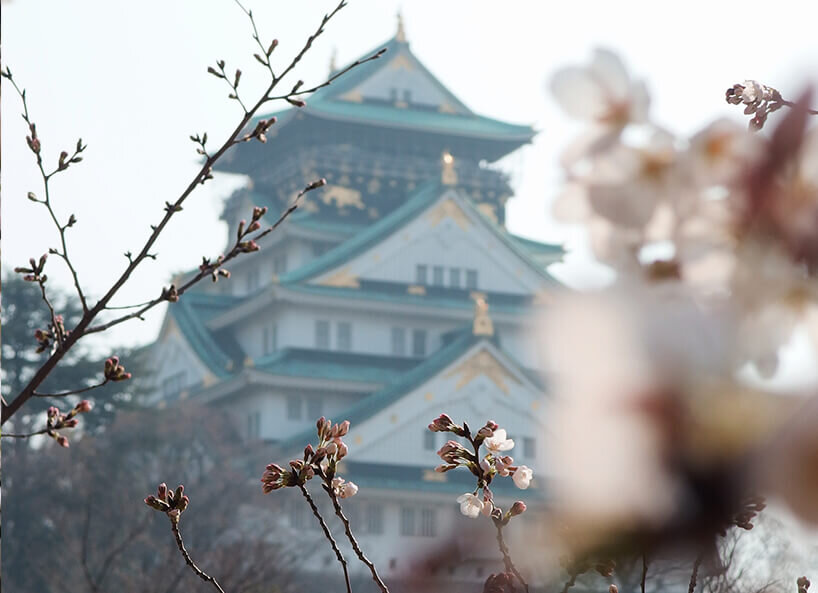 Kirschblüten vor japanischem Gebäude