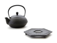 Teekanne, Wasserkessel Kombi-Modell NAMI AOMI, Iwachu, 0,65 l mit Untersetzer