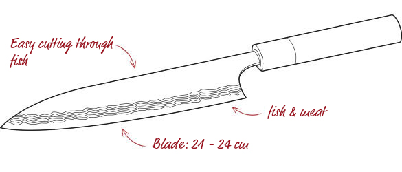 Gyuto knife shape, especially for fish and meat